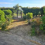 Vista Koroni - Sea View Apartment Over Olive Grove And Mountains