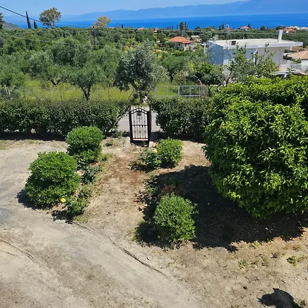 Vista - Sea View Over Olive Grove And Mountains Koróni